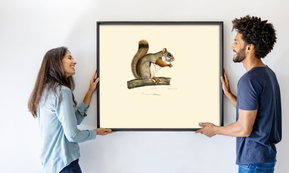 Jacques Christophe Werner