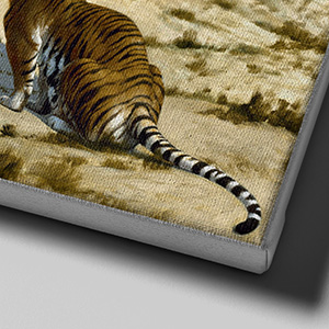 Cornice (con cornice bianca)