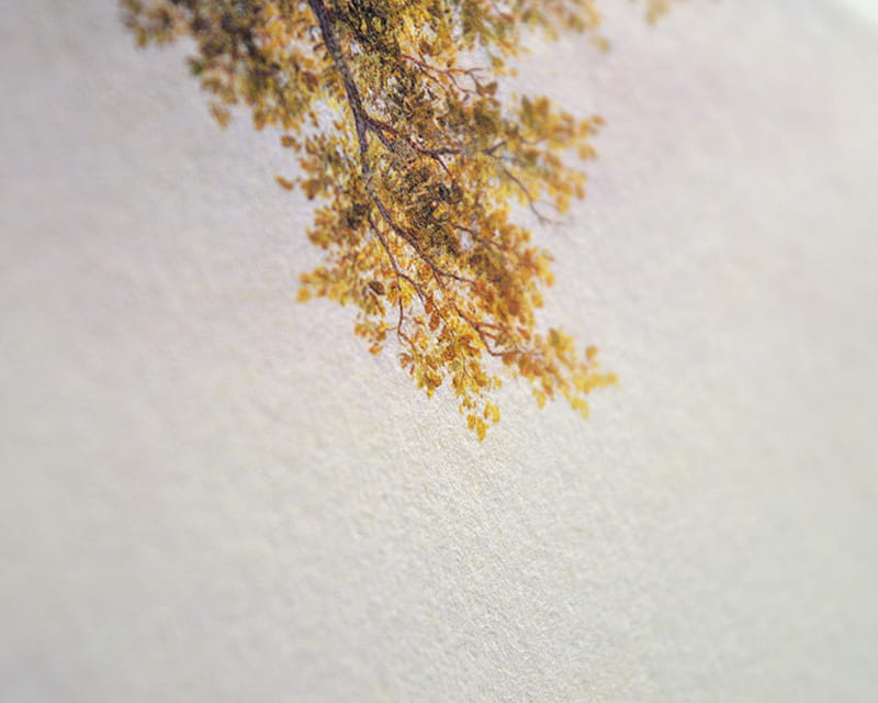 Bamboo, 110g (Washi di bambù liscio)  12