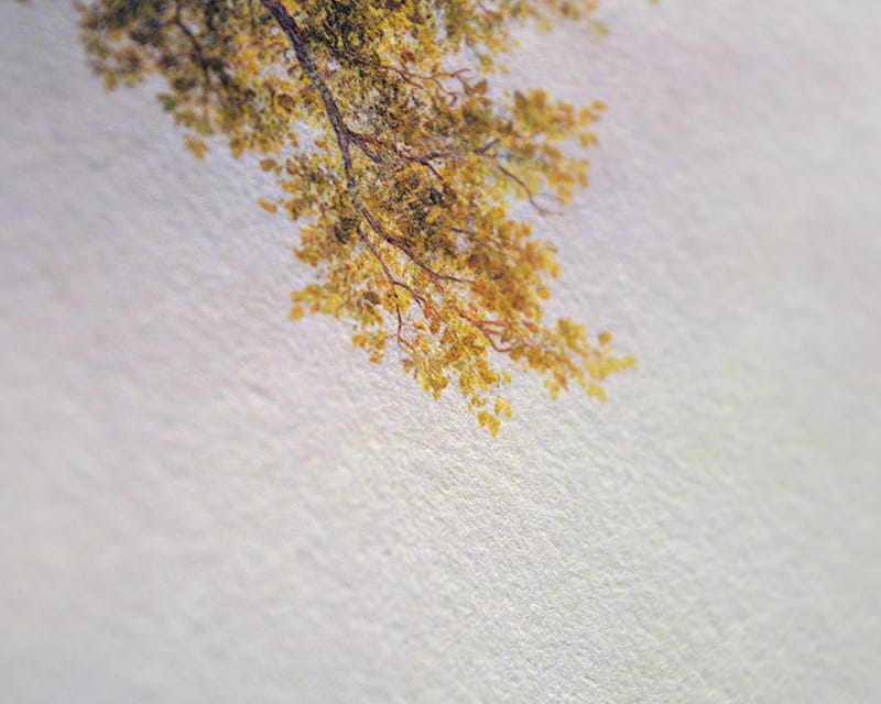 Kozo White, 110g (Carta in fibra di gelso, bianca)  14