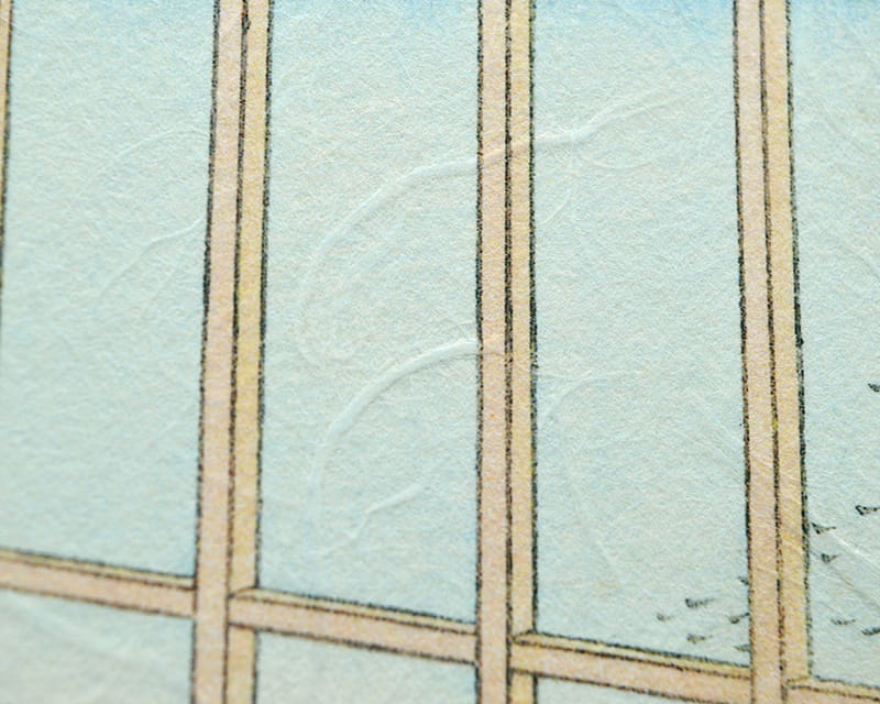Premio Unryu, 165g (Washi con fibre di kozo torbide)  11