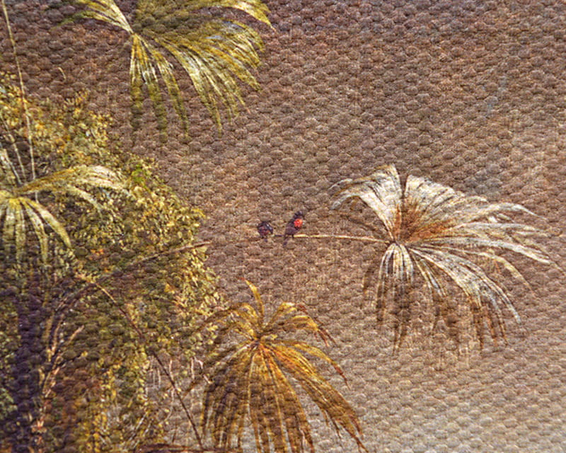 Tela Salvador (opaca) (Canvas Florenz)  16