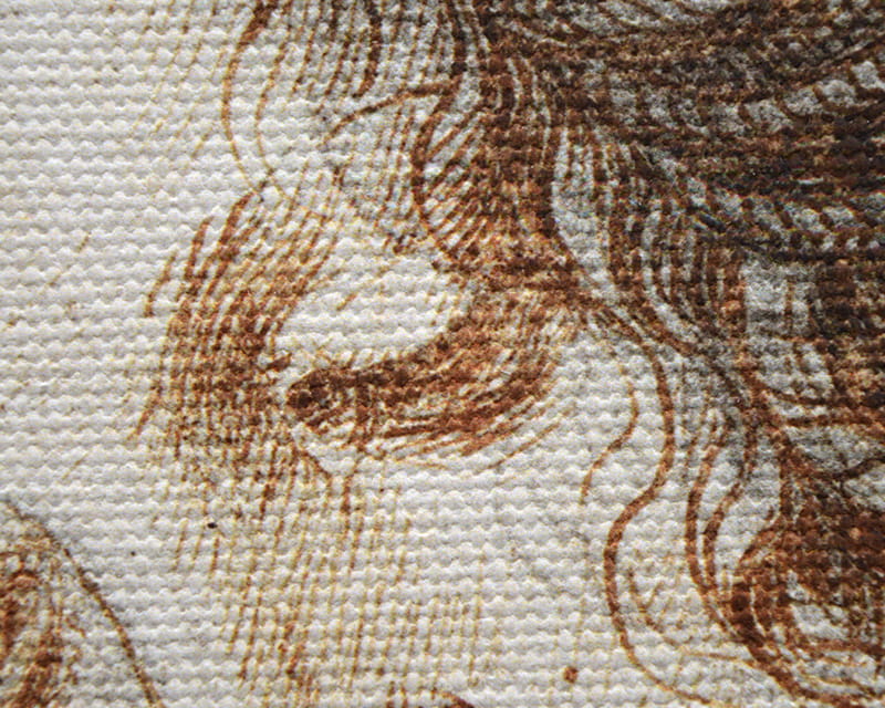 Tela Salvador (opaca) (Canvas Florenz)  33