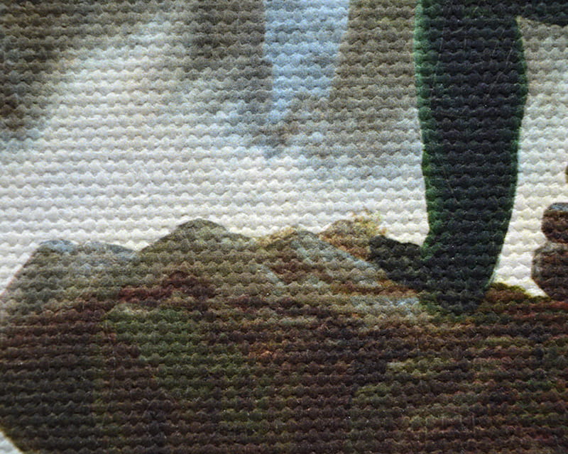 Tela Salvador (opaca) (Canvas Florenz)  8