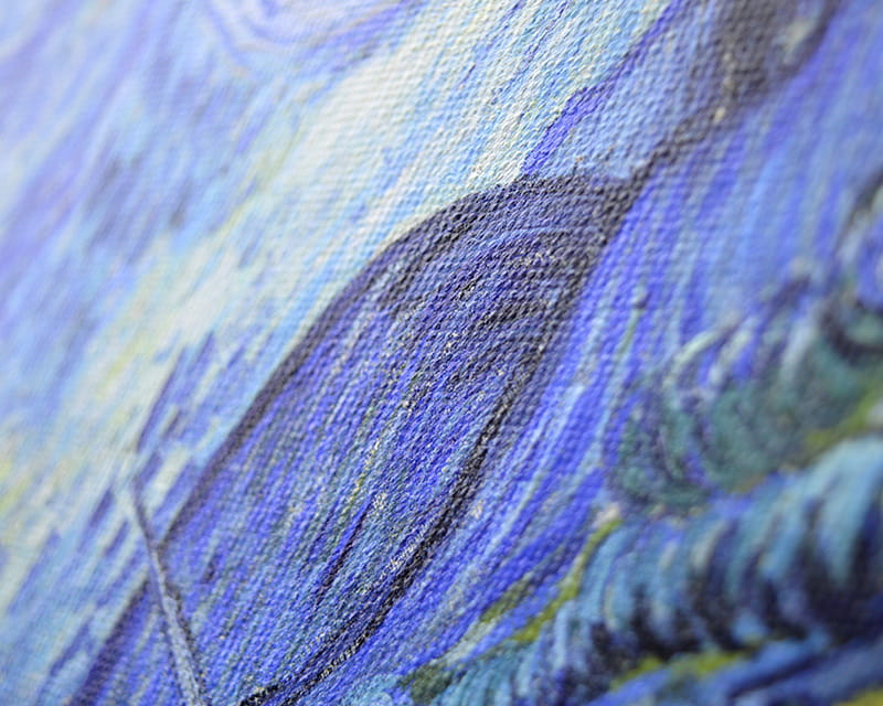 Tela Leonardo (raso) (Canvas Venezia)  5