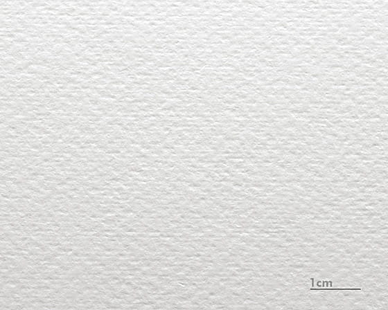 Cartoncino acquerello Renoir