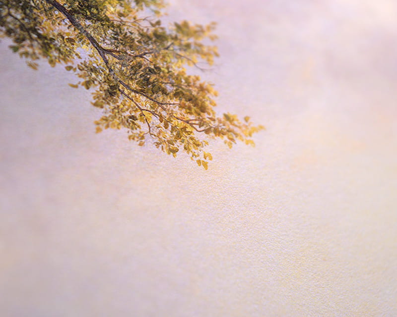 FineArt foto matte (Museum Natural Smooth)  25