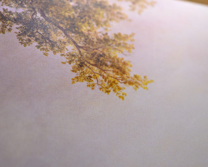 FineArt foto satinata (Photo Pearl 300)  24
