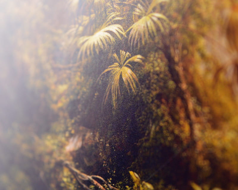 FineArt foto satinata (Photo Pearl 300)  25