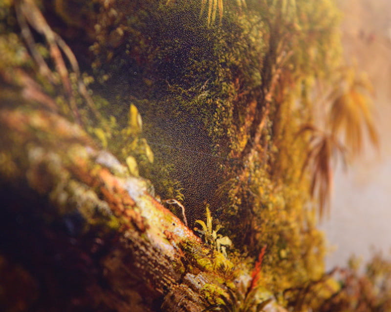 FineArt foto satinata (Photo Pearl 300)  27
