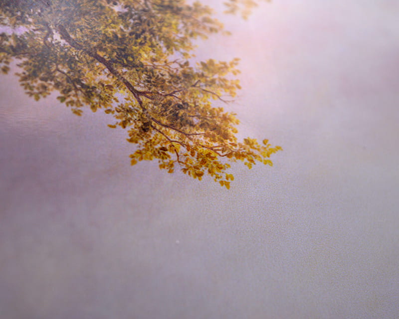 FineArt foto lucida (PGC 310 FD)  28