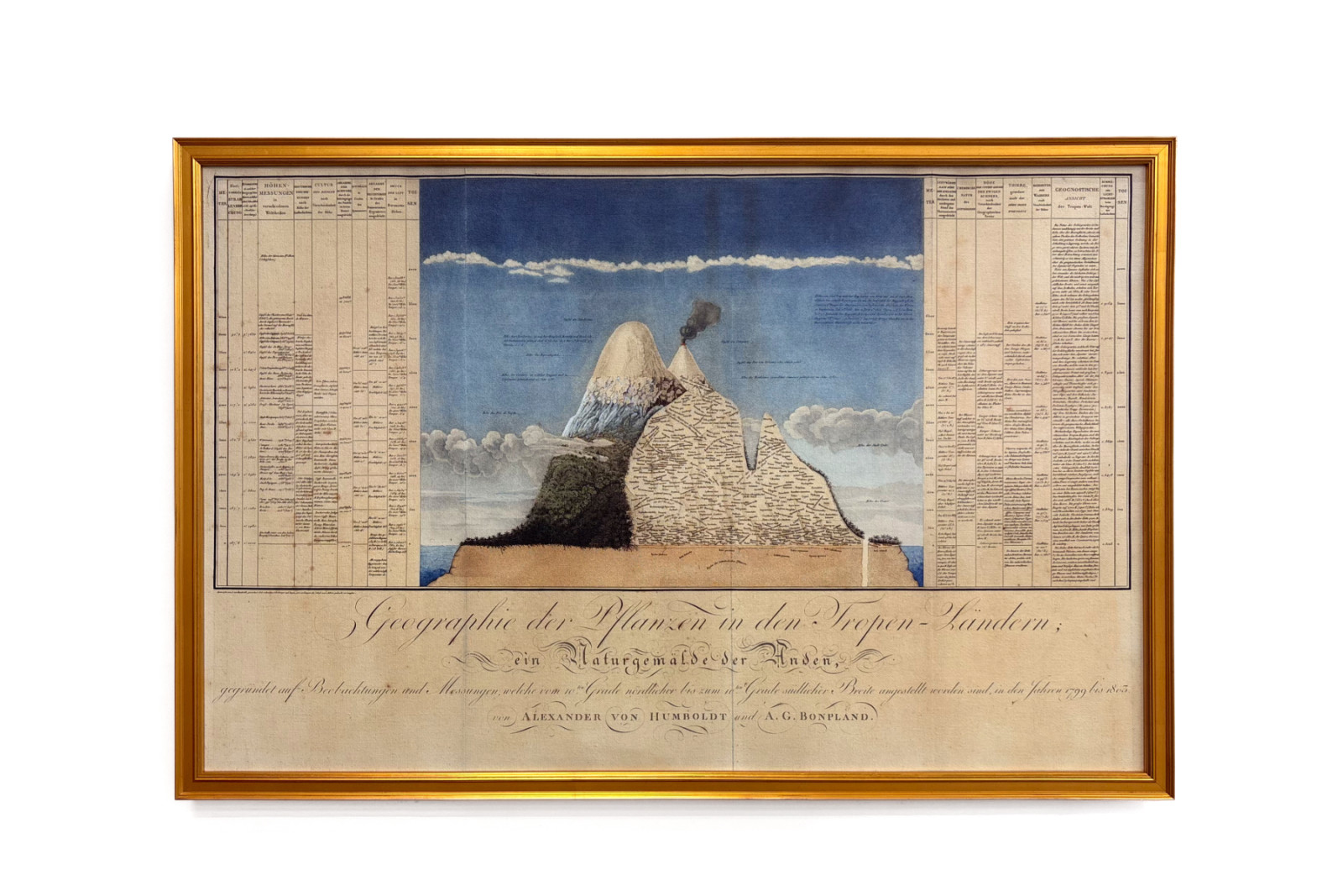 Geografia delle piante nei paesi tropicali, uno studio delle Ande, disegnata da Schoenberger e Turpin, stampata da Langlois, Parigi - Baron Friedrich Alexander von Humboldt