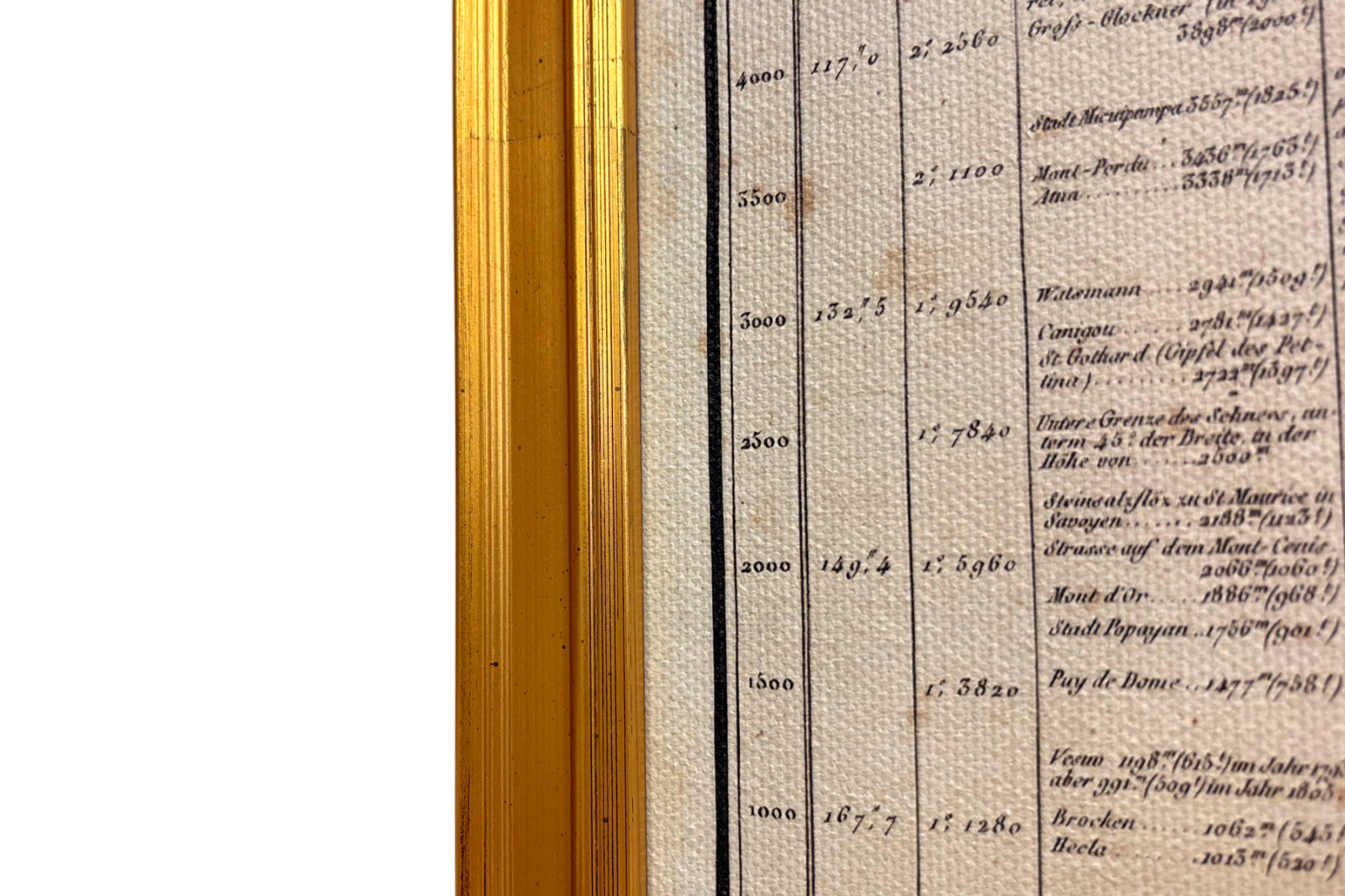 Geografia delle piante nei paesi tropicali, uno studio delle Ande, disegnata da Schoenberger e Turpin, stampata da Langlois, Parigi - Baron Friedrich Alexander von Humboldt