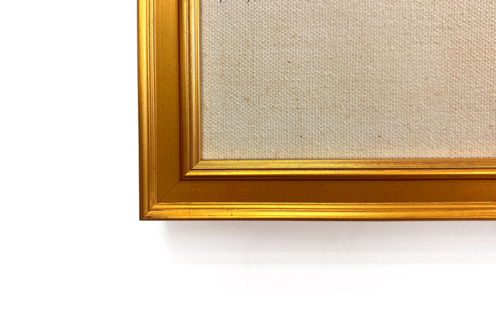 Geografia delle piante nei paesi tropicali, uno studio delle Ande, disegnata da Schoenberger e Turpin, stampata da Langlois, Parigi - Baron Friedrich Alexander von Humboldt