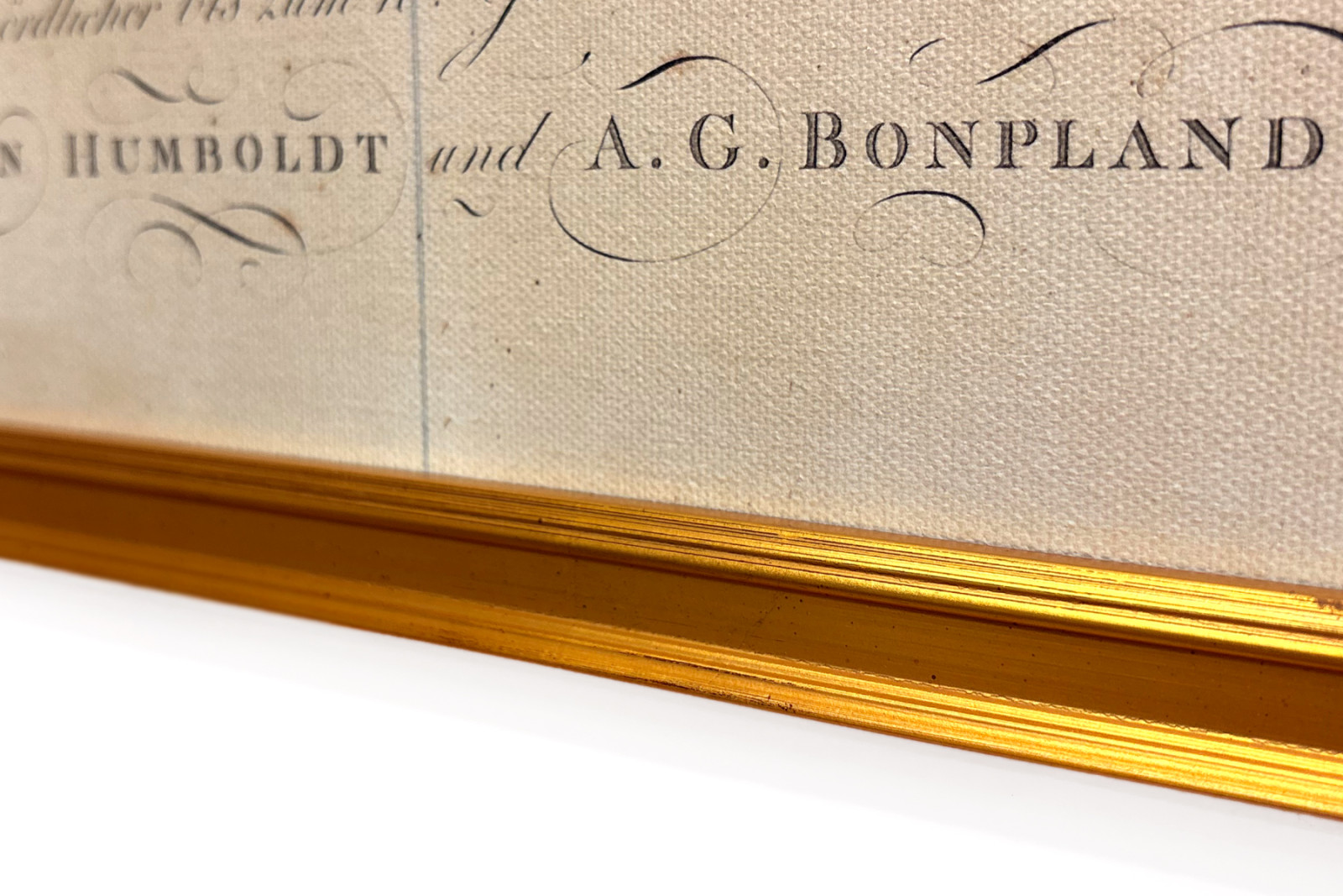Geografia delle piante nei paesi tropicali, uno studio delle Ande, disegnata da Schoenberger e Turpin, stampata da Langlois, Parigi - Baron Friedrich Alexander von Humboldt