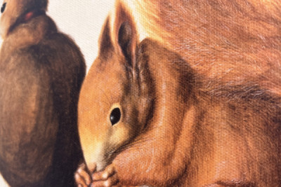 Scoiattoli, 1512