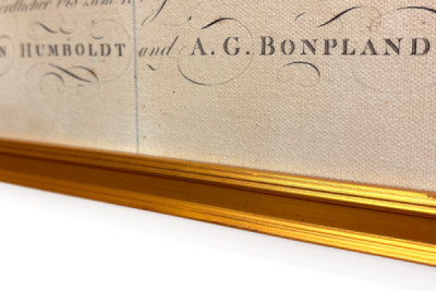 Geografia delle piante nei paesi tropicali, uno studio delle Ande, disegnata da Schoenberger e Turpin, stampata da Langlois, Parigi