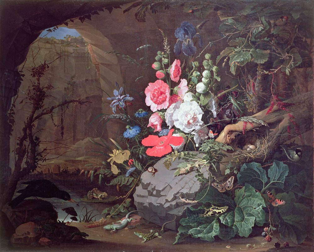 Fiori e uccelli in una grotta da Abraham Mignon