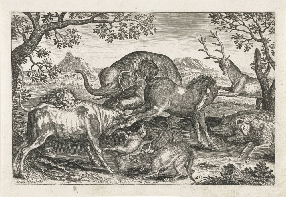 Animali combattenti, Quadrupedi (titolo della serie), Animalivm Qvaddrvpedvm (titolo della serie) da Adriaen Collaert