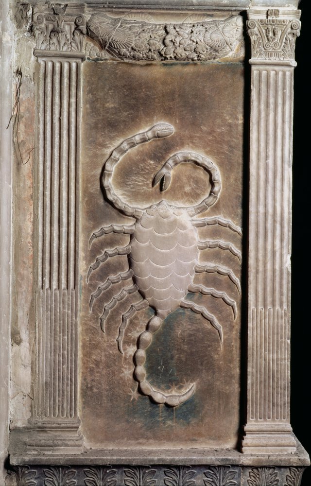 Scorpione rappresentato dallo scorpione, da una serie di rilievi che ...