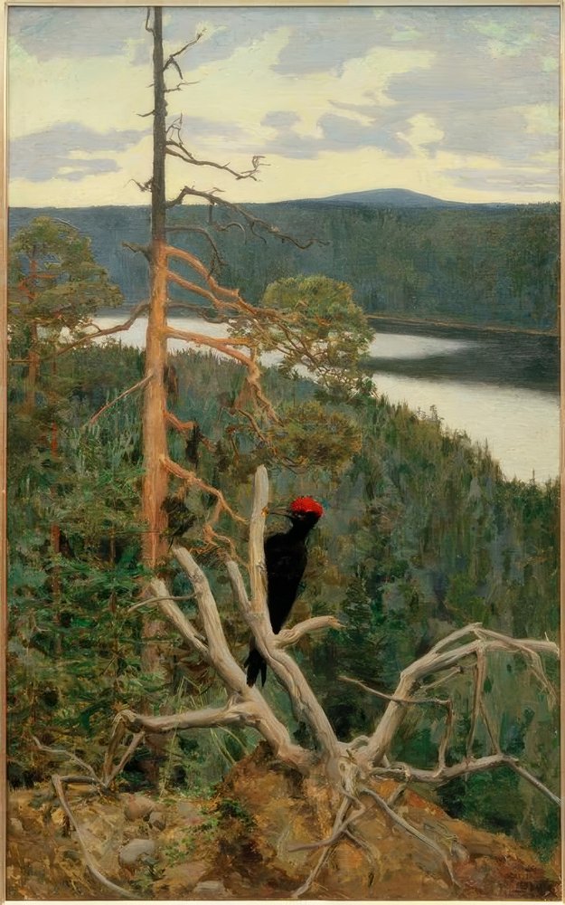 Il grande picchio nero da Akseli Valdemar Gallen-Kallela