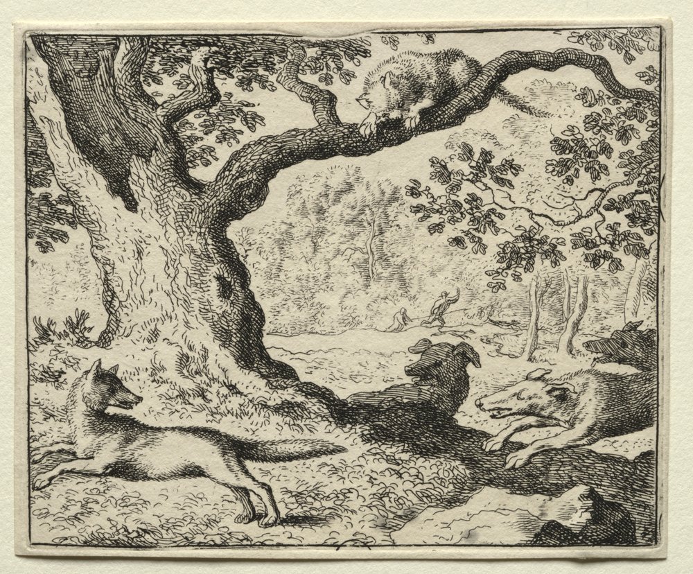 Renart la volpe: Il gatto sleale da Allart van Everdingen