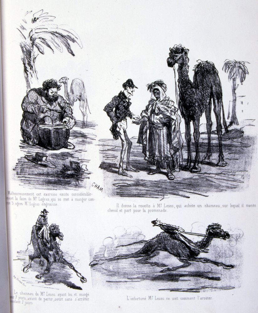 Illustrazione per L