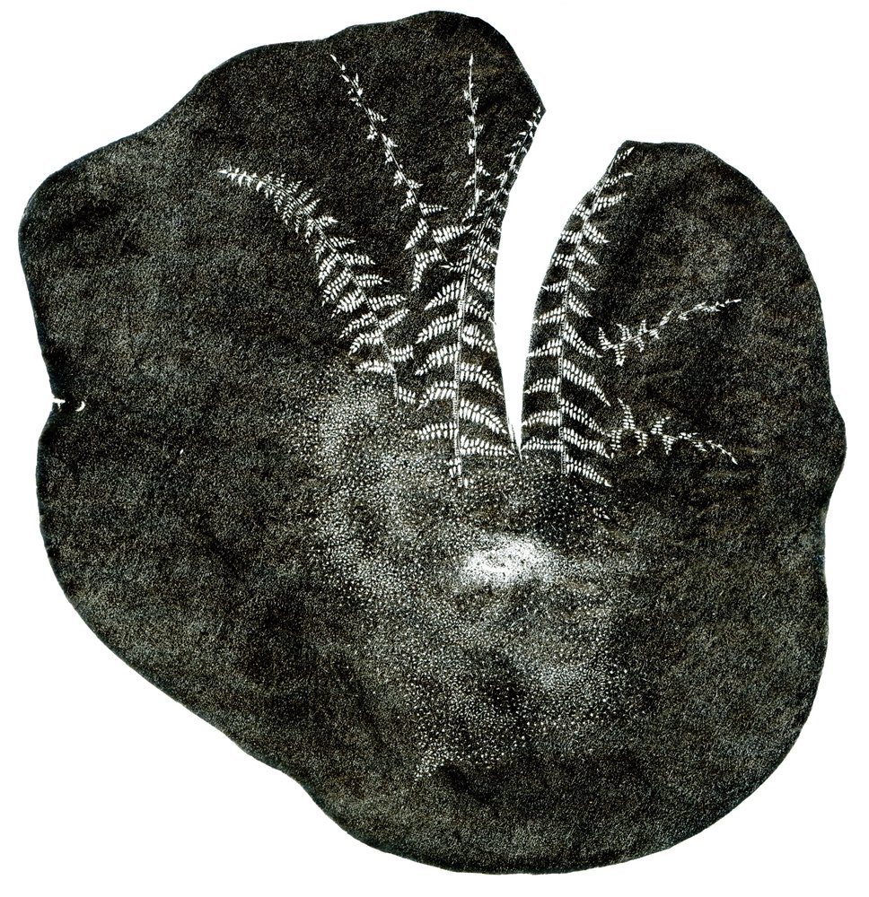 Espira, 2014 da Bella Larsson