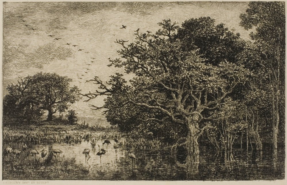 La palude con le cicogne da Charles Francois Daubigny