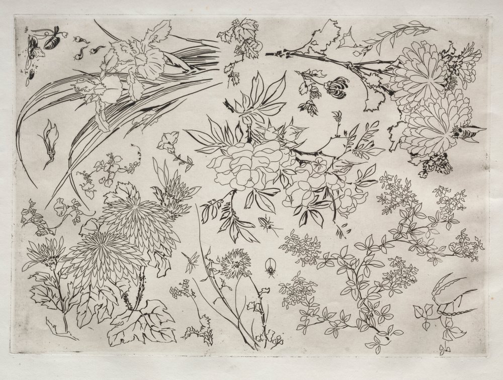 Servizio da tavola (servizio Rousseau): Fiori (n. 23) da Felix Bracquemond