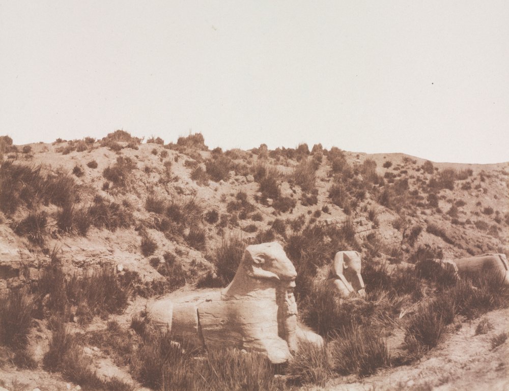 Sfingi con testa umana e con testa di ariete a Point Y. Karnak (Tebe) da Félix Teynard