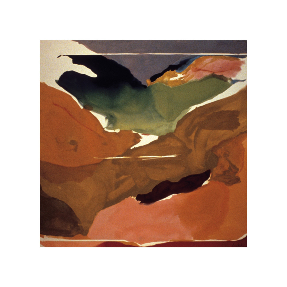 La natura aborrisce il ... (KI.3) da Frankenthaler Helen