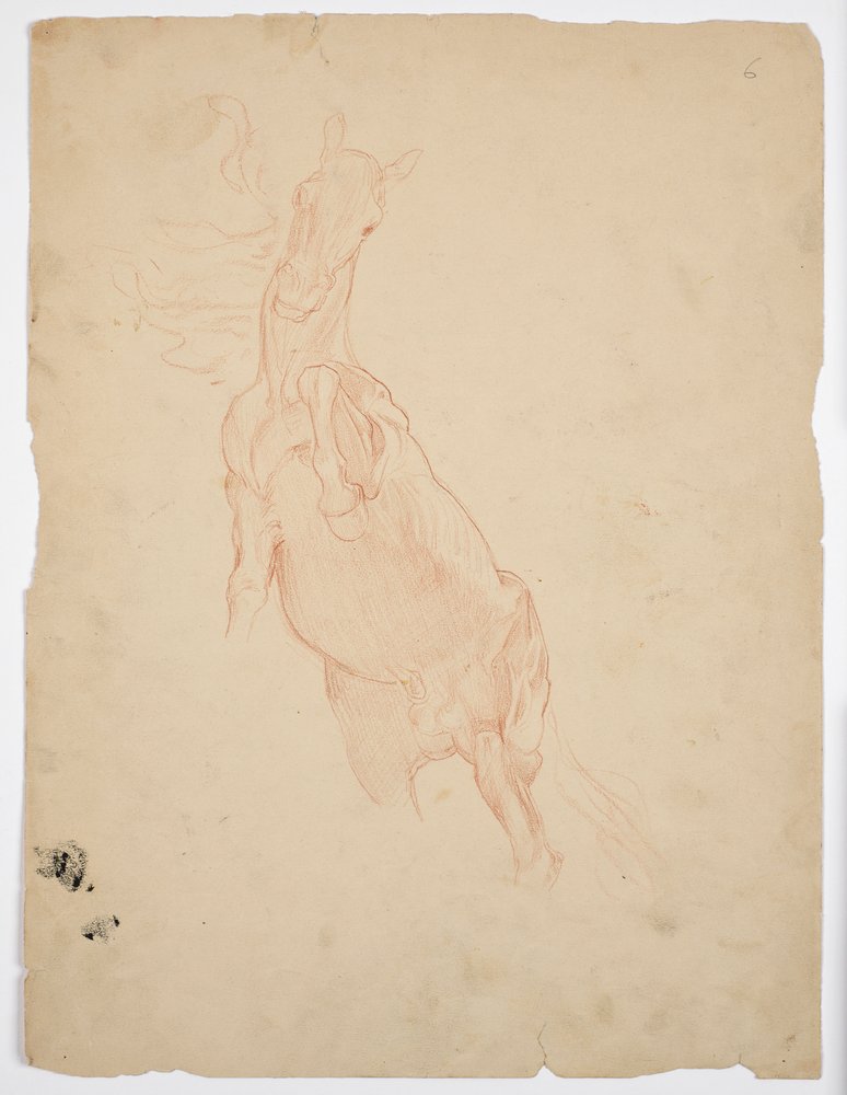 Studi di un cavallo che si alza da Franz von Matsch