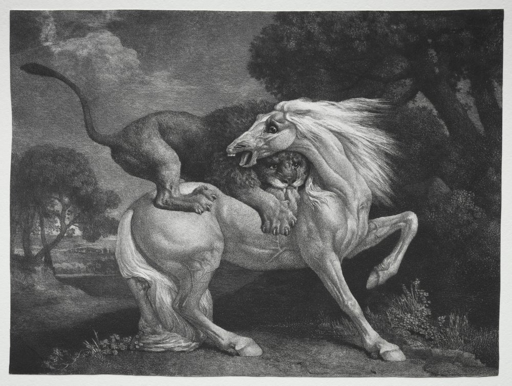 Un cavallo attaccato da un leone, 1788 da George Stubbs