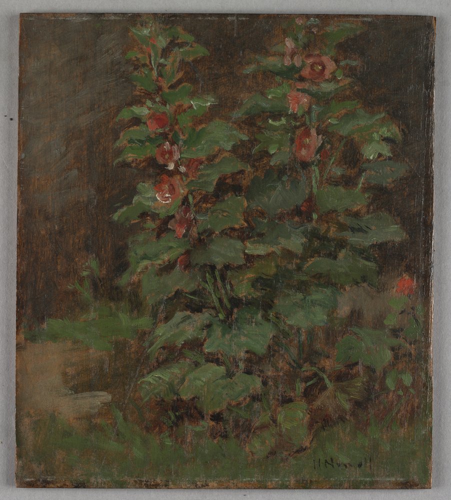 Fiori da Hugh Newell