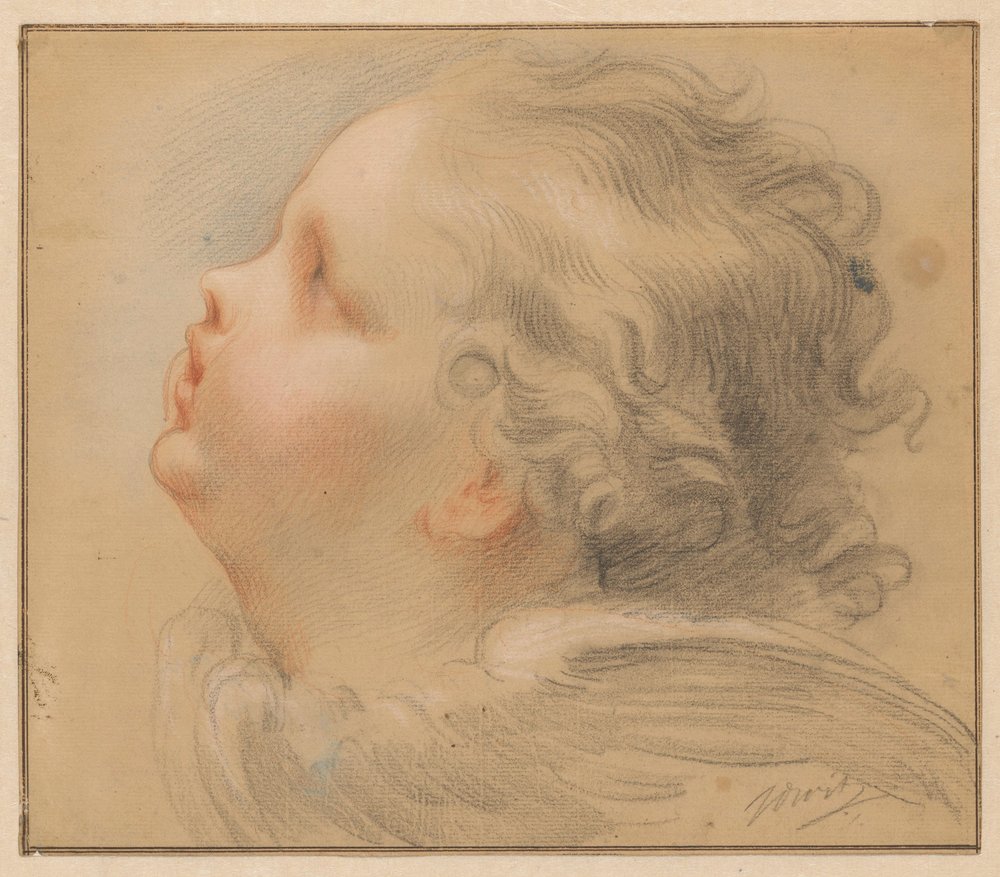 Testa di un cherubino, verso sinistra | Jacob de Wit