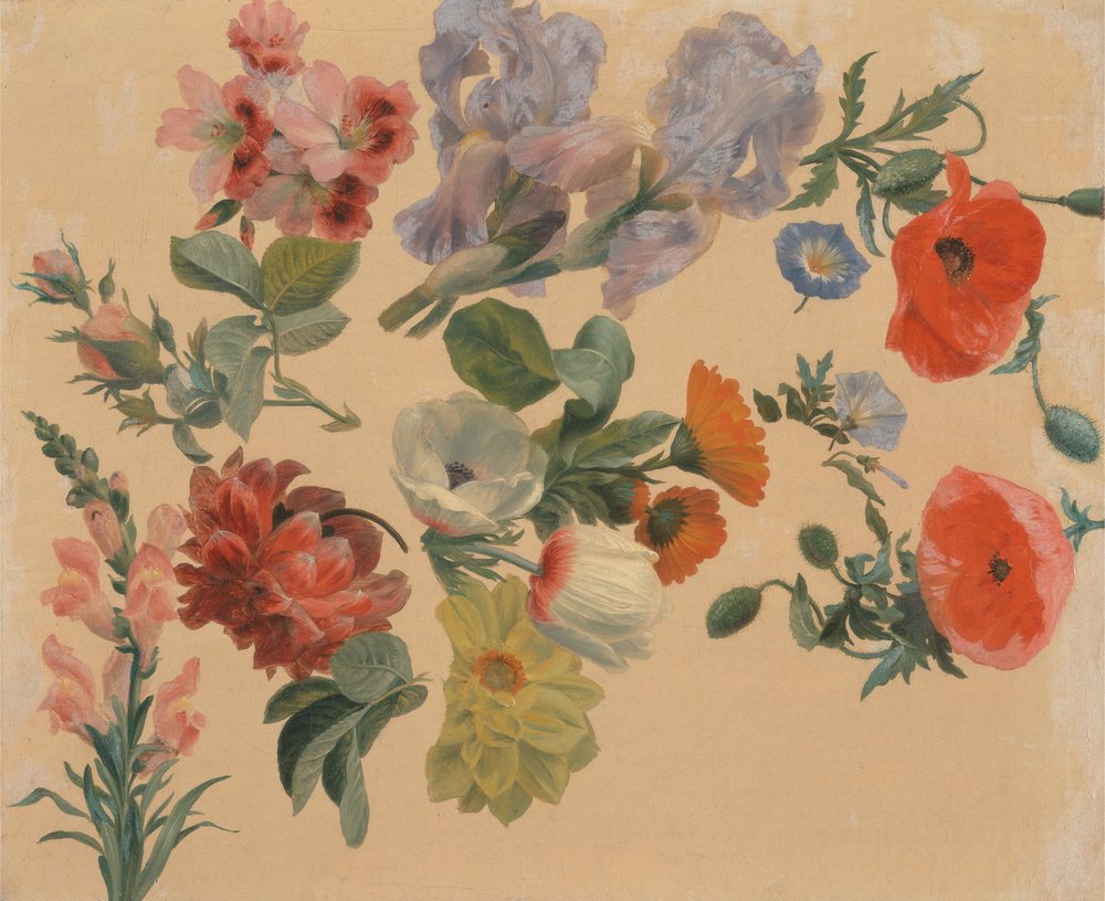 Studi di fiori estivi da Jacques-Laurent Agasse