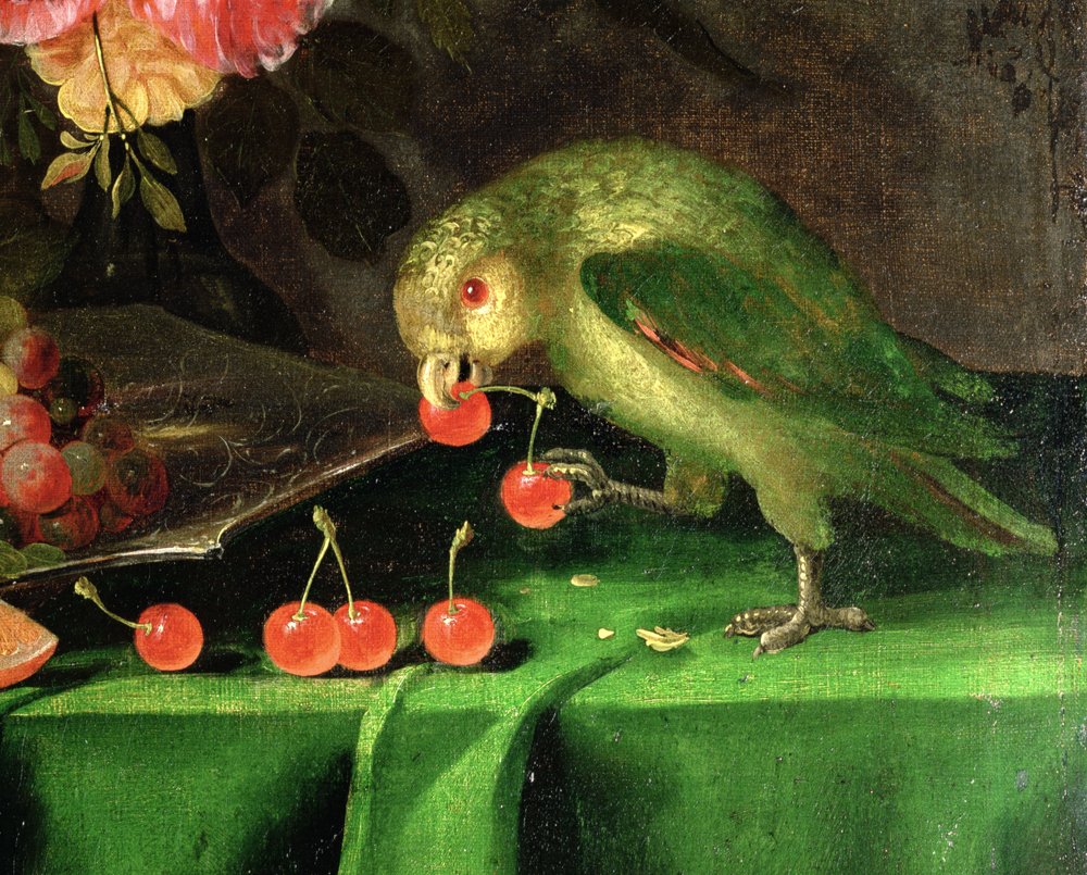 Natura morta di frutta e fiori, dettaglio di un pappagallo da Jan Davidsz de Heem