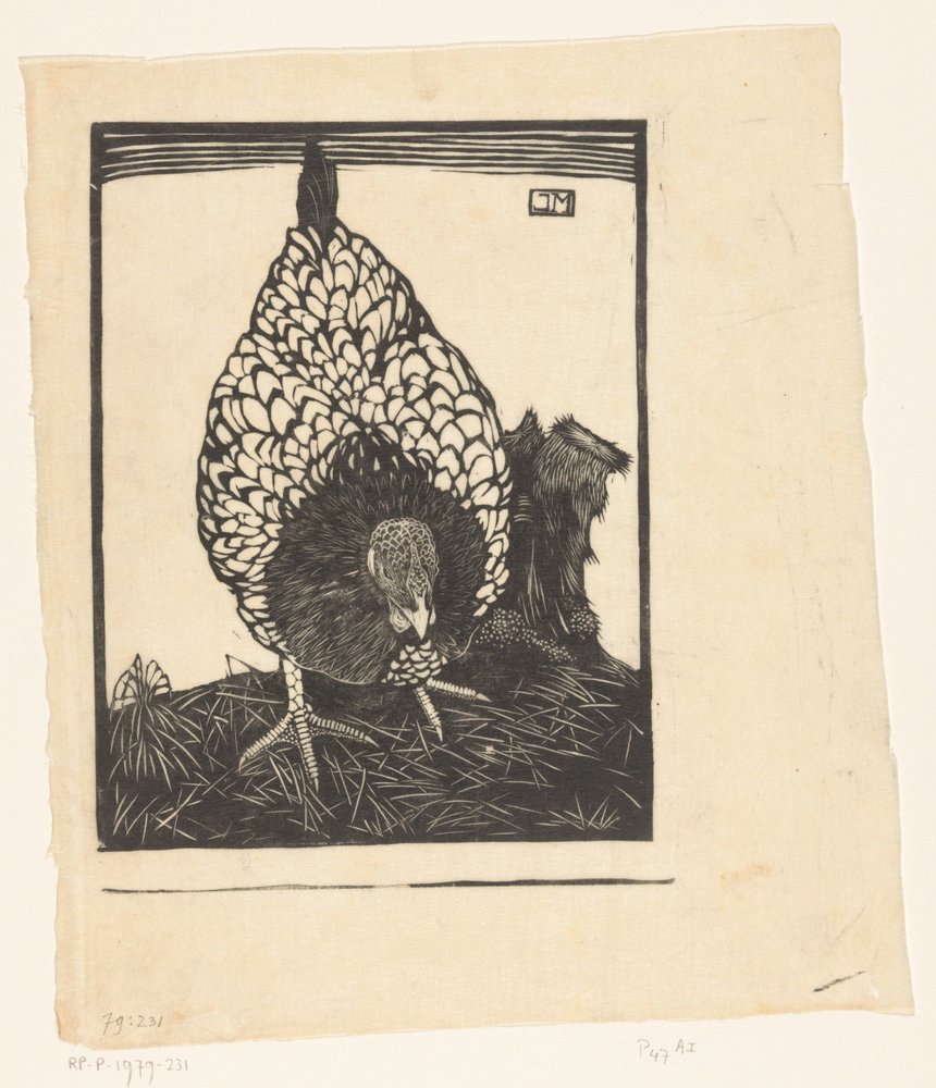 Zilverwyandotte da Jan Mankes