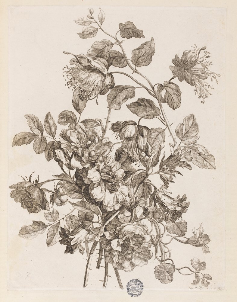 Tavola da "Le Livre de toutes sortes de fleurs d