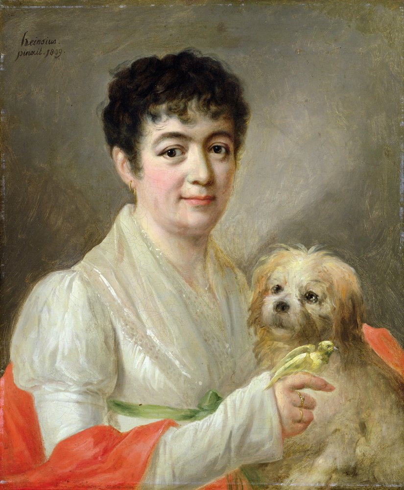 Ritratto di una donna sconosciuta, 1809 da Johann Ernst Heinsius