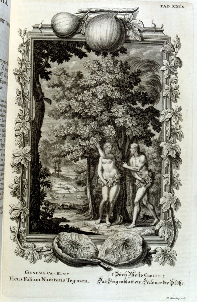 Incisione su rame da 'Physica Sacra' dello studioso svizzero Johann Jakob Scheuchzer da Johann Jakob Scheuchzer
