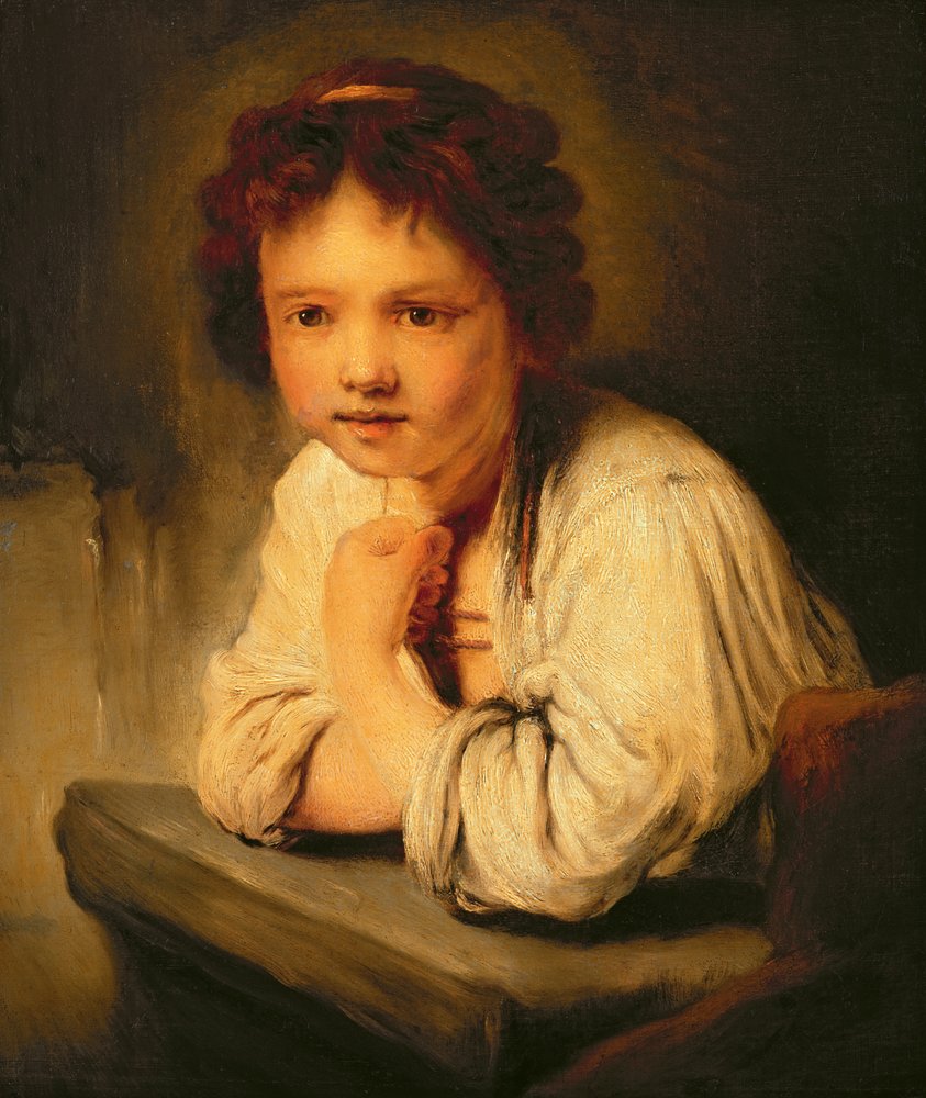 Giovane ragazza alla finestra da Joshua Reynolds