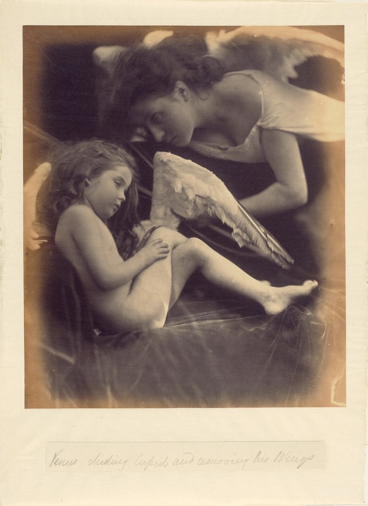 Venere che rimprovera Cupido e gli toglie le ali da Julia Margaret Cameron
