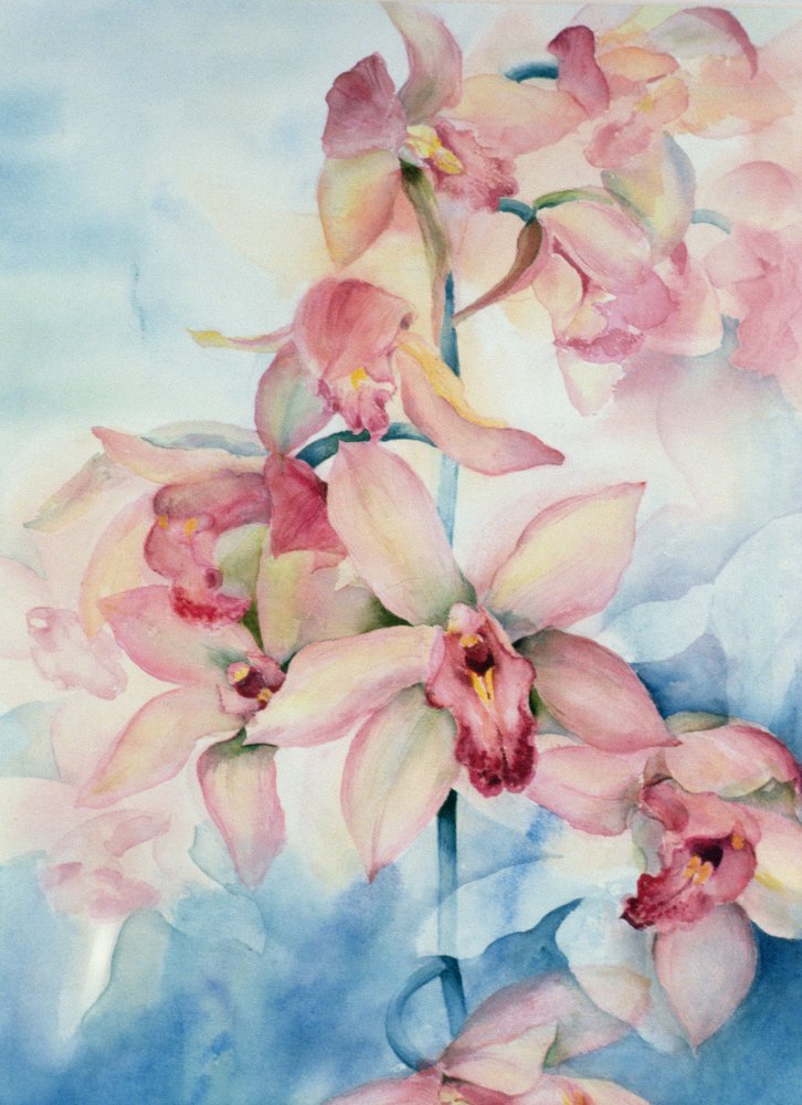 Orchidea Cymbidium Ramley | Karen Armitage | Stampa d'arte