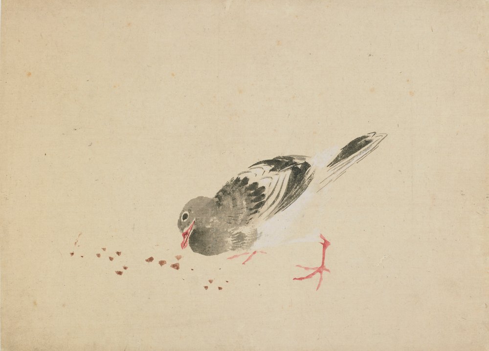 Piccione da Katsushika Hokusai