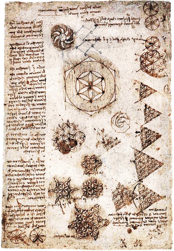 Fiore della Vita Leonardo da Vinci Stampa d'arte