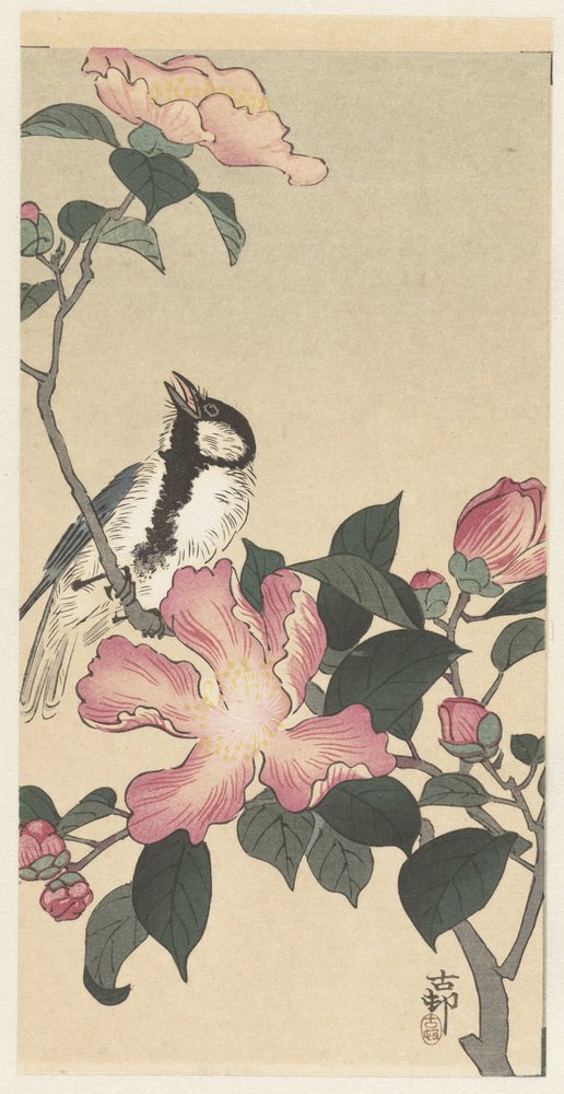 Cinciallegra su ramo con fiori rosa da Ohara Koson