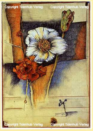 ...di nuovo fiori da Ole West