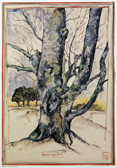 Terra degli alberi - verso sera da Ole West